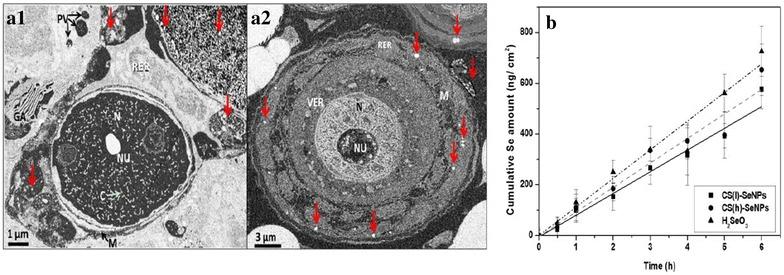 https://cdn.ncbi.nlm.nih.gov/pmc/blobs/439b/5217424/074336a09077/12951_2016_243_Fig5_HTML.jpg