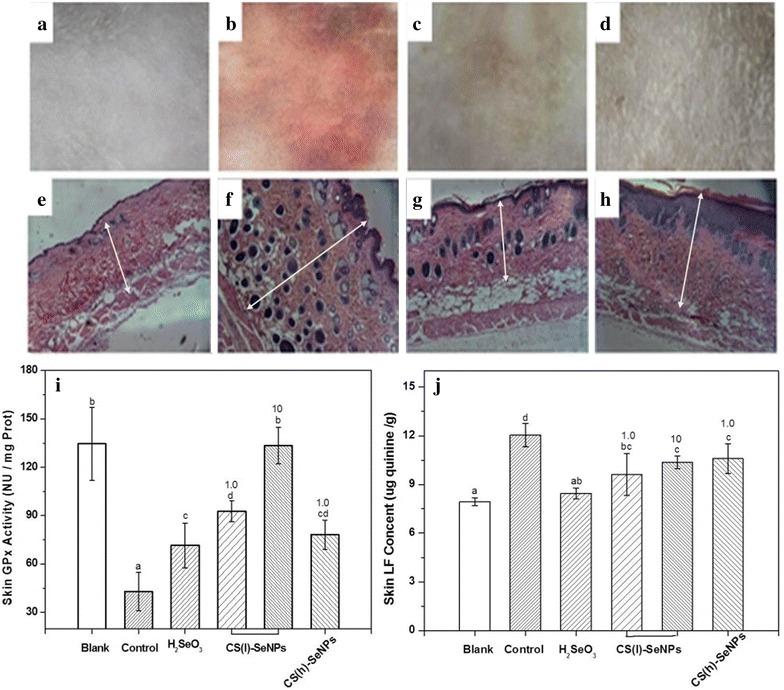 https://cdn.ncbi.nlm.nih.gov/pmc/blobs/439b/5217424/094075926d64/12951_2016_243_Fig6_HTML.jpg
