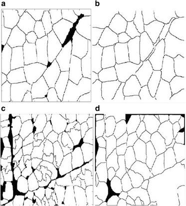 https://cdn.ncbi.nlm.nih.gov/pmc/blobs/439c/5364575/486332819899/12859_2017_1604_Fig8_HTML.jpg