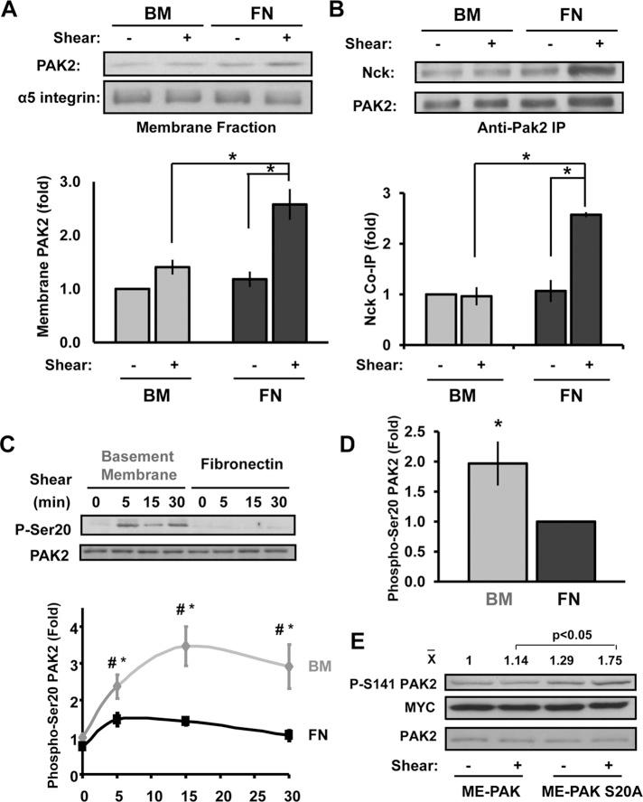 https://cdn.ncbi.nlm.nih.gov/pmc/blobs/439e/3564533/5efbb8ca02ea/398fig1.jpg