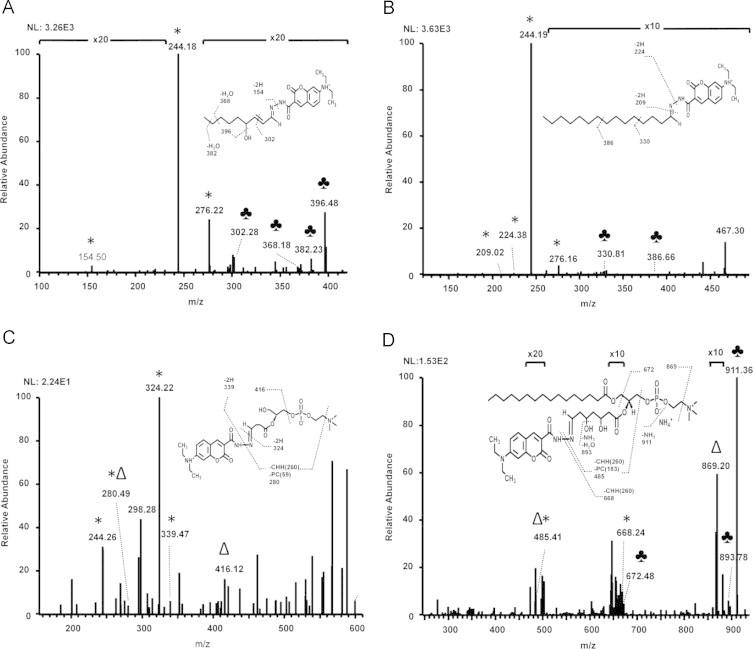 https://cdn.ncbi.nlm.nih.gov/pmc/blobs/439e/4434198/f21cd4be764c/gr4.jpg