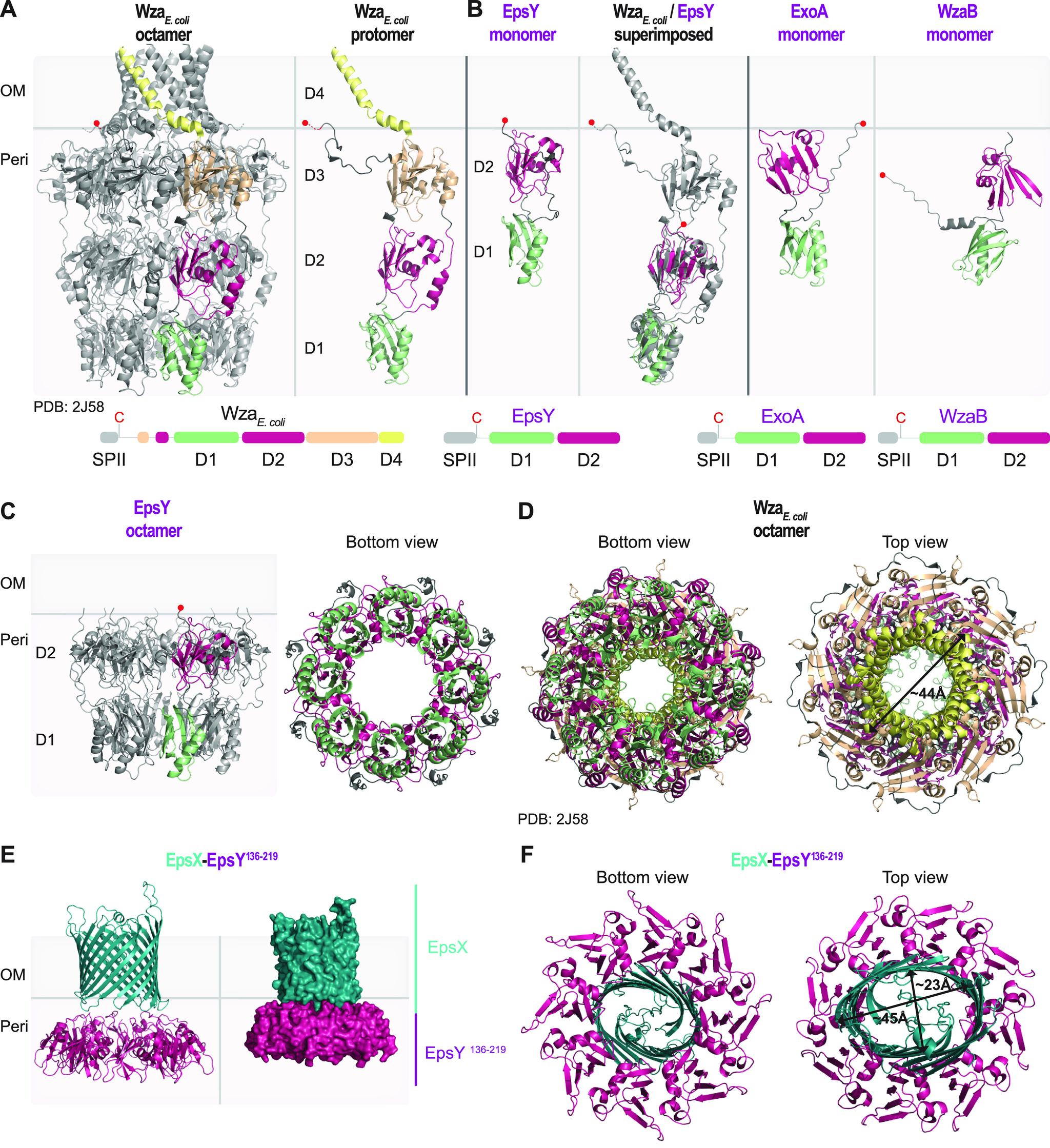 https://cdn.ncbi.nlm.nih.gov/pmc/blobs/439f/9601211/fee8fc03c6c4/mbio.02032-22-f002.jpg