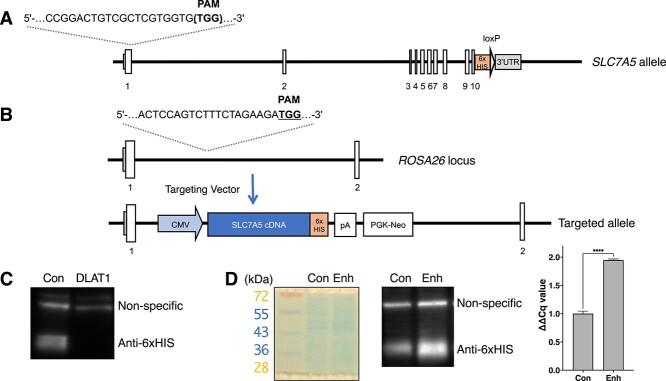 https://cdn.ncbi.nlm.nih.gov/pmc/blobs/43a0/9855323/7447df649842/rrac077f1.jpg