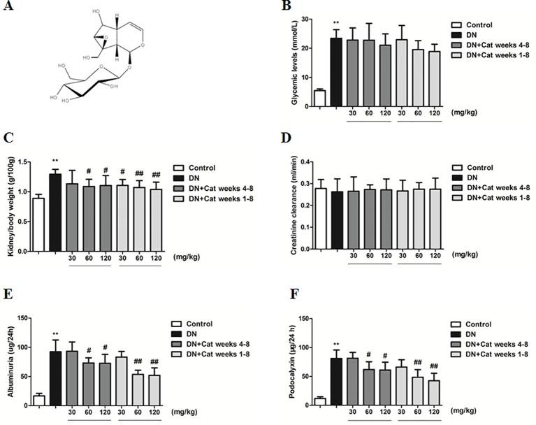 https://cdn.ncbi.nlm.nih.gov/pmc/blobs/43a1/6914850/5bb2a9ef173f/fphar-10-01477-g001.jpg