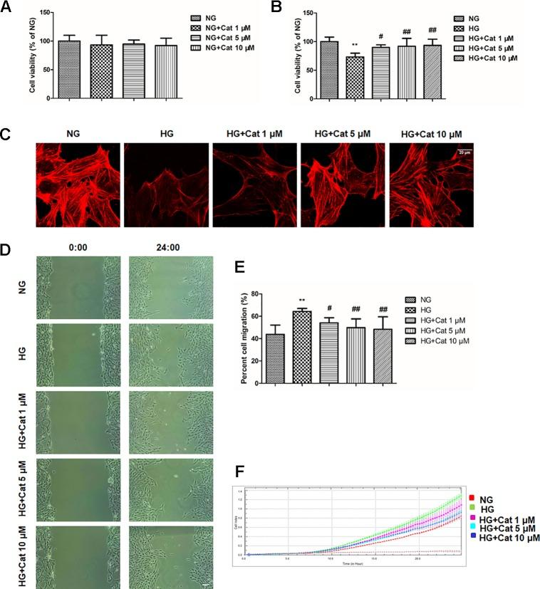 https://cdn.ncbi.nlm.nih.gov/pmc/blobs/43a1/6914850/7b89f696d0ce/fphar-10-01477-g004.jpg