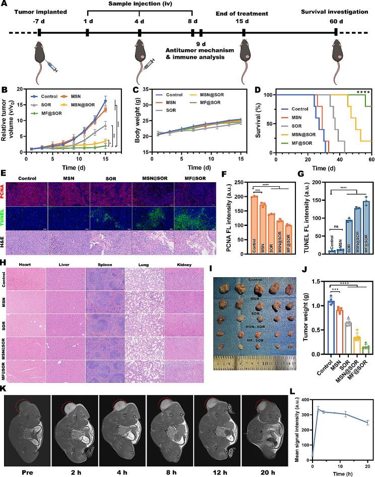 https://cdn.ncbi.nlm.nih.gov/pmc/blobs/43a2/10918897/6aa8a855c6bc/12951_2024_2354_Fig8_HTML.jpg