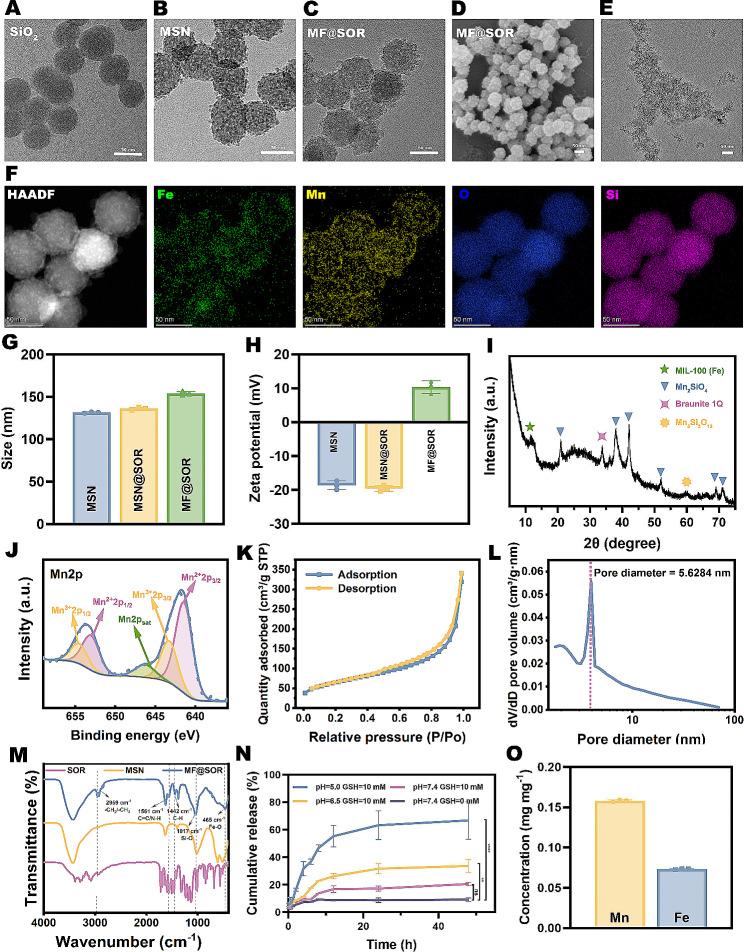 https://cdn.ncbi.nlm.nih.gov/pmc/blobs/43a2/10918897/9e39c3e563a8/12951_2024_2354_Fig3_HTML.jpg