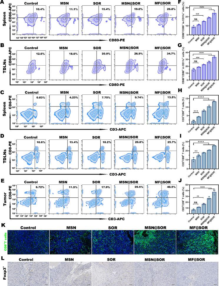 https://cdn.ncbi.nlm.nih.gov/pmc/blobs/43a2/10918897/a6f5b56f02b9/12951_2024_2354_Fig7_HTML.jpg