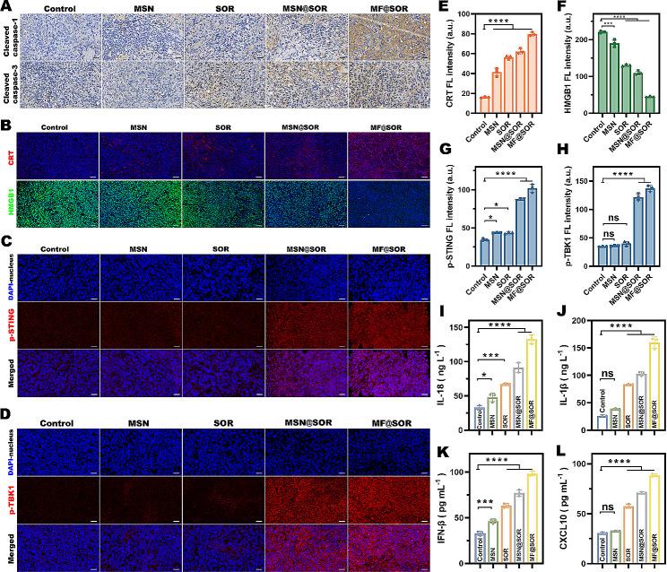 https://cdn.ncbi.nlm.nih.gov/pmc/blobs/43a2/10918897/c33b590823e8/12951_2024_2354_Fig6_HTML.jpg