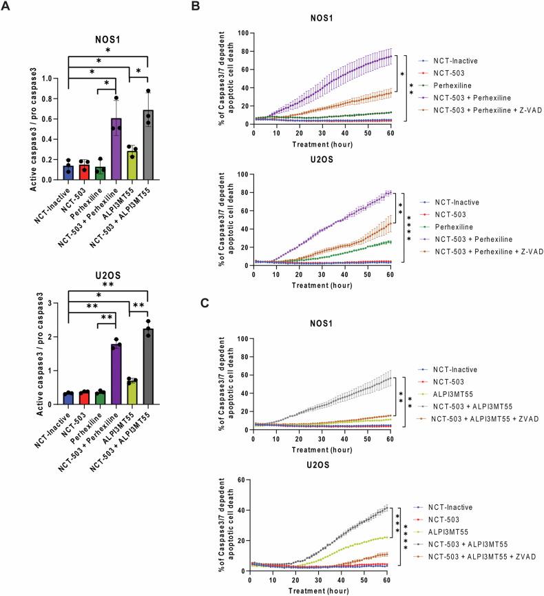 https://cdn.ncbi.nlm.nih.gov/pmc/blobs/43a2/11814296/7c3d1e8b1dba/41419_2025_7378_Fig2_HTML.jpg