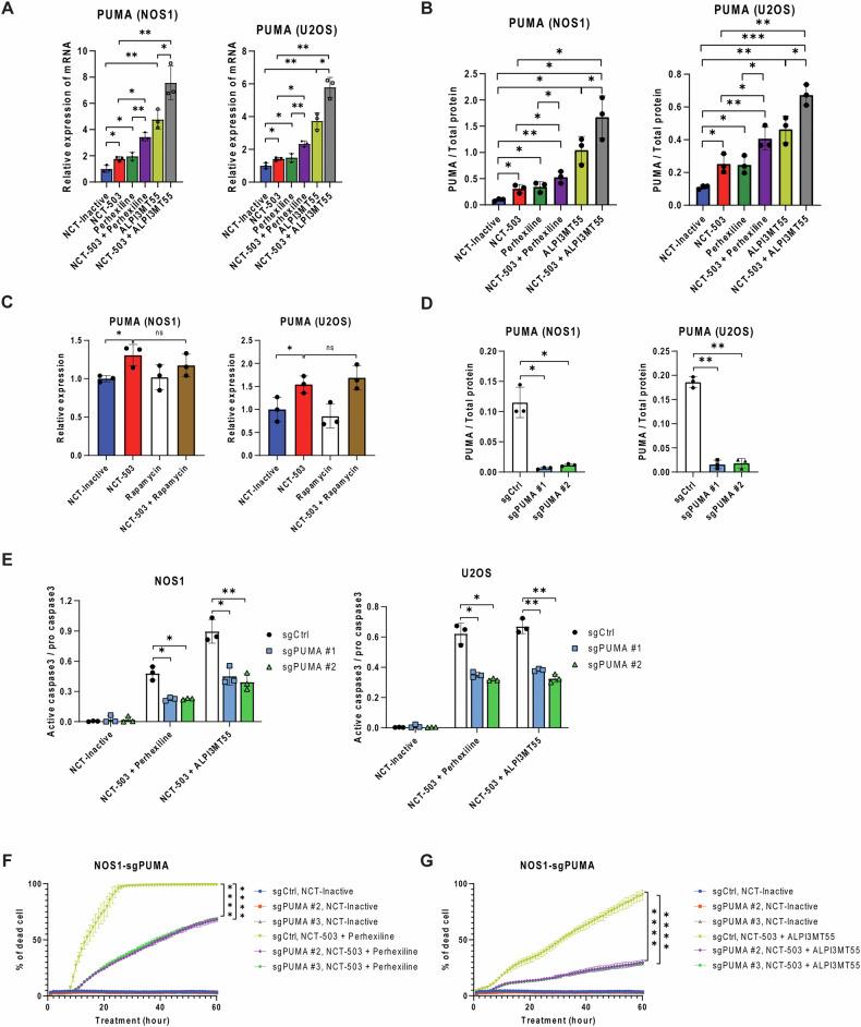 https://cdn.ncbi.nlm.nih.gov/pmc/blobs/43a2/11814296/9e2df6bce5b8/41419_2025_7378_Fig3_HTML.jpg