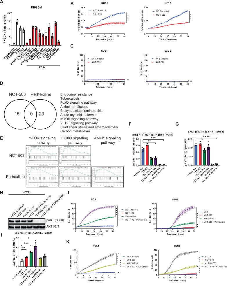 https://cdn.ncbi.nlm.nih.gov/pmc/blobs/43a2/11814296/af363a1fe9df/41419_2025_7378_Fig1_HTML.jpg