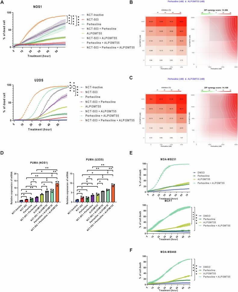 https://cdn.ncbi.nlm.nih.gov/pmc/blobs/43a2/11814296/c7c50fa02d85/41419_2025_7378_Fig6_HTML.jpg