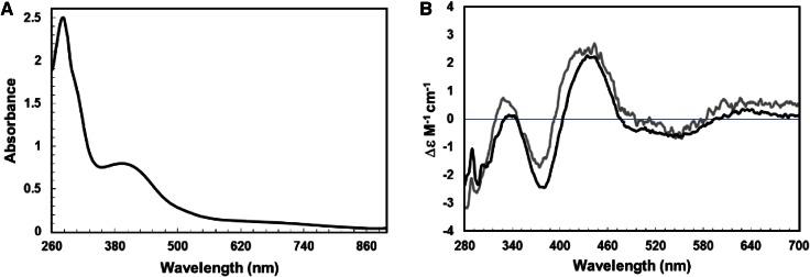 https://cdn.ncbi.nlm.nih.gov/pmc/blobs/43a2/4771820/1d23cdf62314/775_2015_1326_Fig2_HTML.jpg