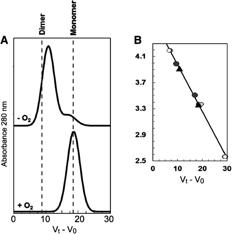 https://cdn.ncbi.nlm.nih.gov/pmc/blobs/43a2/4771820/53cfa53fd058/775_2015_1326_Fig7_HTML.jpg