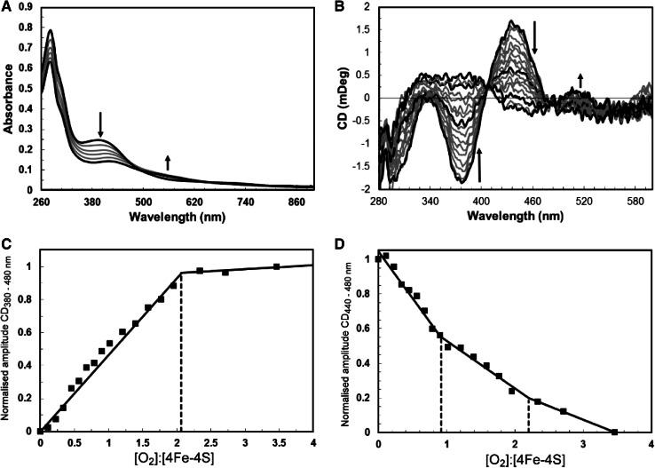 https://cdn.ncbi.nlm.nih.gov/pmc/blobs/43a2/4771820/8d071146e68a/775_2015_1326_Fig3_HTML.jpg