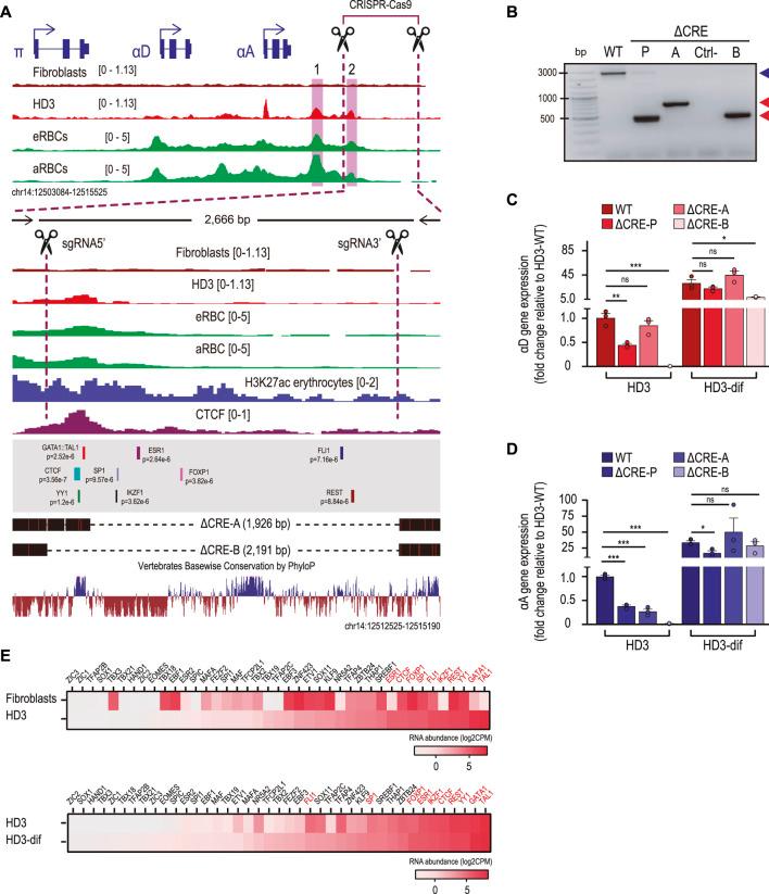 https://cdn.ncbi.nlm.nih.gov/pmc/blobs/43a4/11066237/fe6a1804660d/fgene-15-1384167-g003.jpg
