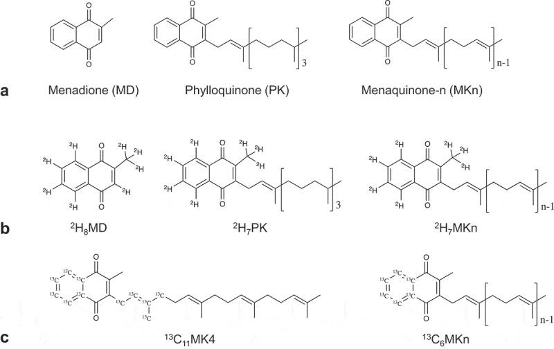 https://cdn.ncbi.nlm.nih.gov/pmc/blobs/43a4/7928036/7d40a1ec1d49/KGMI_A_1887721_F0001_B.jpg