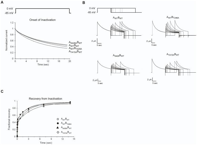 https://cdn.ncbi.nlm.nih.gov/pmc/blobs/43a7/3858418/70e1dfbf7919/pone.0082253.g006.jpg