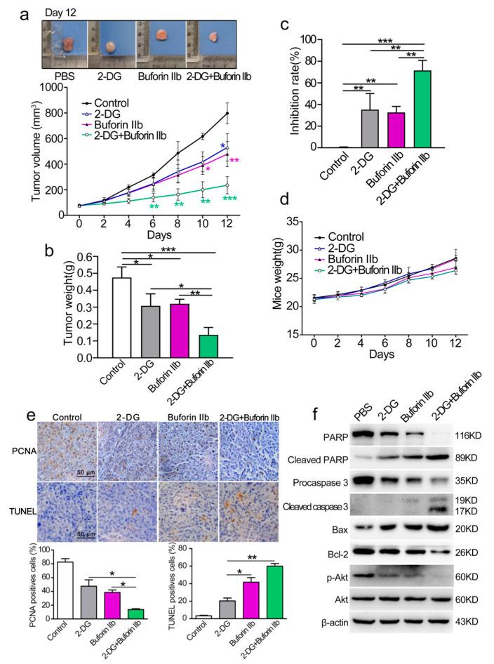 https://cdn.ncbi.nlm.nih.gov/pmc/blobs/43a7/7730206/da0acccac07a/molecules-25-05778-g007.jpg
