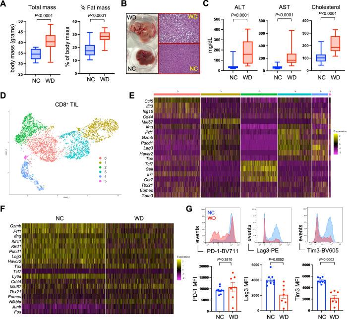 https://cdn.ncbi.nlm.nih.gov/pmc/blobs/43a8/10987624/584d3f3c41a1/41467_2024_47359_Fig1_HTML.jpg