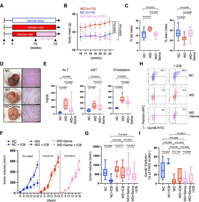 https://cdn.ncbi.nlm.nih.gov/pmc/blobs/43a8/10987624/6ae7977b97be/41467_2024_47359_Fig3_HTML.jpg