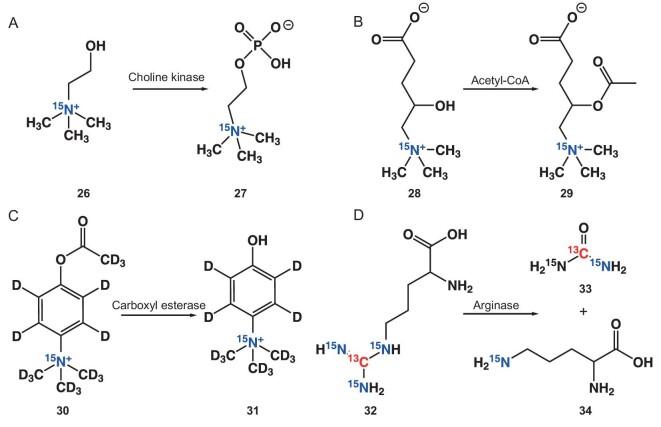 https://cdn.ncbi.nlm.nih.gov/pmc/blobs/43aa/11321254/6ec18caeb45f/nwae228fig5.jpg