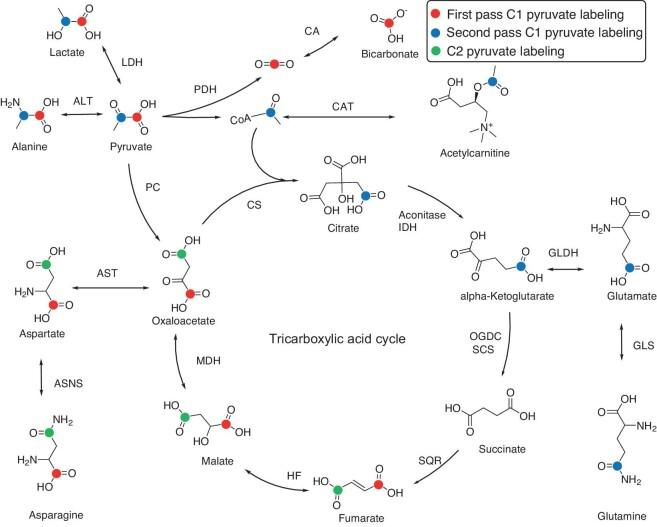 https://cdn.ncbi.nlm.nih.gov/pmc/blobs/43aa/11321254/f0327e7a1dee/nwae228fig4.jpg