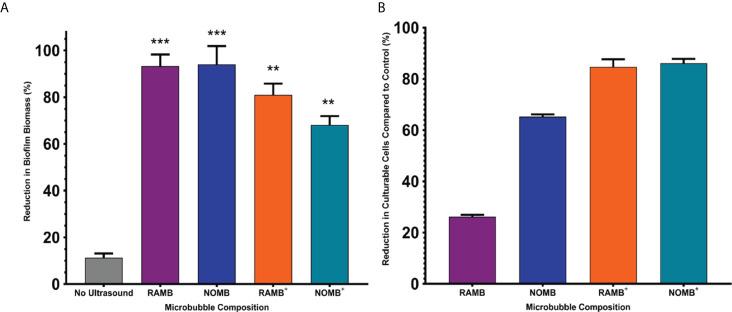 https://cdn.ncbi.nlm.nih.gov/pmc/blobs/43ac/9386126/53bb4256adc3/fcimb-12-956808-g002.jpg