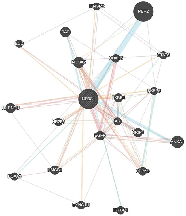 https://cdn.ncbi.nlm.nih.gov/pmc/blobs/43ac/9662139/140e659d33e8/IJMM-50-6-05203-g00.jpg
