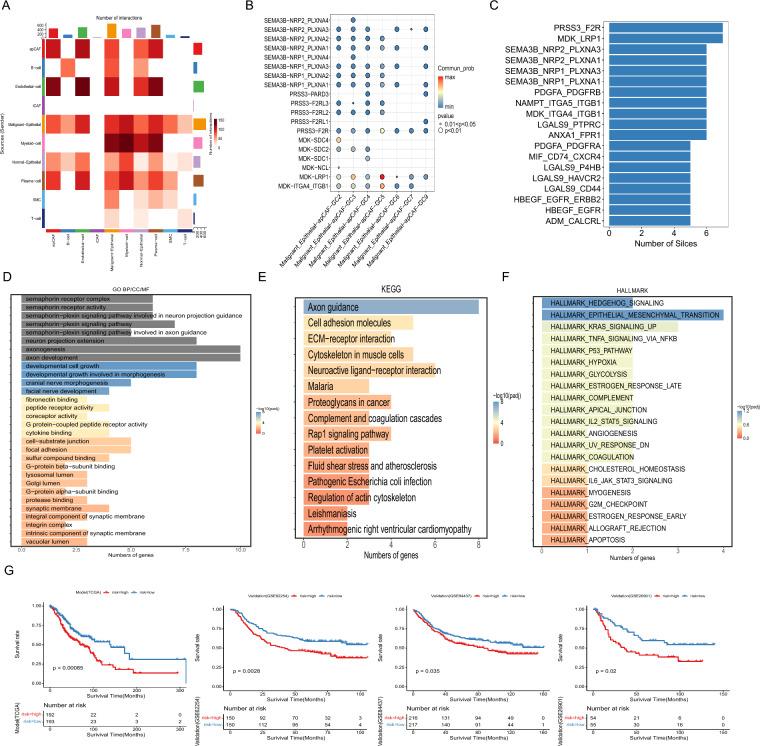 https://cdn.ncbi.nlm.nih.gov/pmc/blobs/43af/11917039/f7f55a21dcc5/12967_2025_6376_Fig5_HTML.jpg