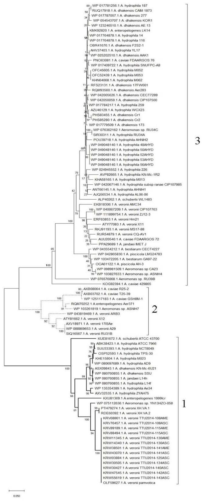 https://cdn.ncbi.nlm.nih.gov/pmc/blobs/43af/7874193/a425754b93e1/fmicb-11-595697-g0006.jpg