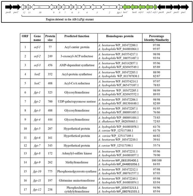 https://cdn.ncbi.nlm.nih.gov/pmc/blobs/43af/7874193/ffb15baa96e9/fmicb-11-595697-g0002.jpg
