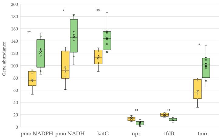 https://cdn.ncbi.nlm.nih.gov/pmc/blobs/43af/9919410/46517f99f242/plants-12-00527-g007.jpg