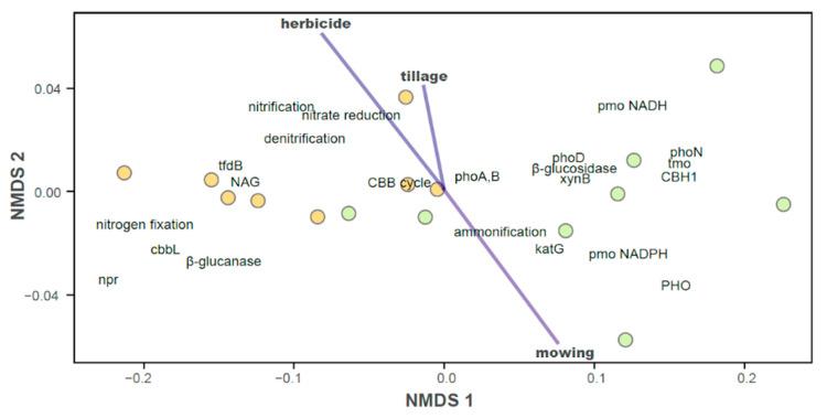 https://cdn.ncbi.nlm.nih.gov/pmc/blobs/43af/9919410/524579572164/plants-12-00527-g009.jpg
