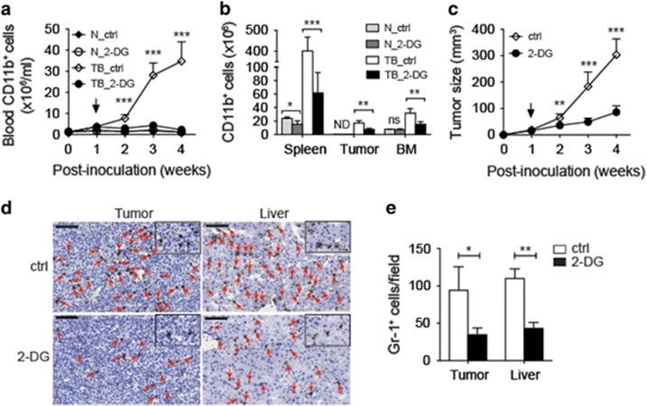 https://cdn.ncbi.nlm.nih.gov/pmc/blobs/43b3/5520713/aab6b0005e1d/cddis2017192f4.jpg