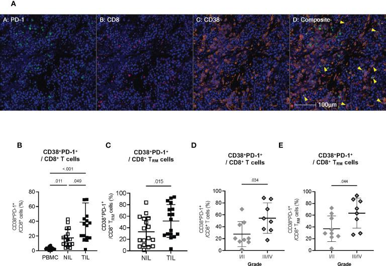 https://cdn.ncbi.nlm.nih.gov/pmc/blobs/43b4/10292929/772f40855437/fimmu-14-1182016-g006.jpg