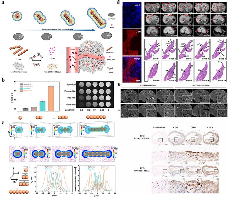 https://cdn.ncbi.nlm.nih.gov/pmc/blobs/43bb/12327873/f7146175a338/gr11.jpg