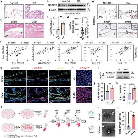 https://cdn.ncbi.nlm.nih.gov/pmc/blobs/43bd/11005727/b0de1bdccd3d/ADVS-11-2307338-g009.jpg