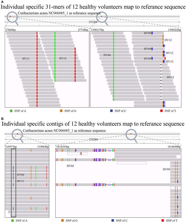 https://cdn.ncbi.nlm.nih.gov/pmc/blobs/43bd/9583911/2d0e1bcb3a99/fmicb-13-960043-g0008.jpg