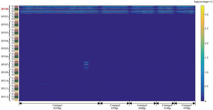 https://cdn.ncbi.nlm.nih.gov/pmc/blobs/43bd/9583911/ce6f6e76dce8/fmicb-13-960043-g0007.jpg