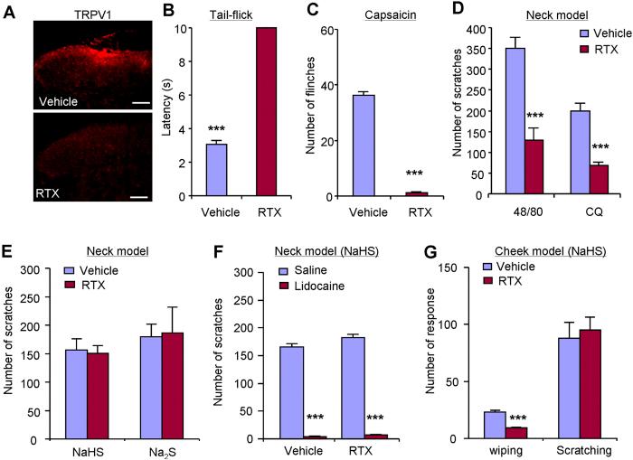 https://cdn.ncbi.nlm.nih.gov/pmc/blobs/43be/4658482/405f9543bc9d/srep16768-f3.jpg