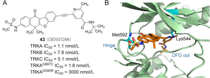 https://cdn.ncbi.nlm.nih.gov/pmc/blobs/43bf/7893124/9fe63b4d55d0/gr13.jpg
