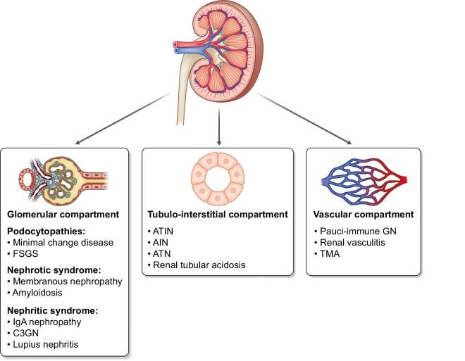 https://cdn.ncbi.nlm.nih.gov/pmc/blobs/43c2/10229281/1651f1595620/sfad014fig3.jpg
