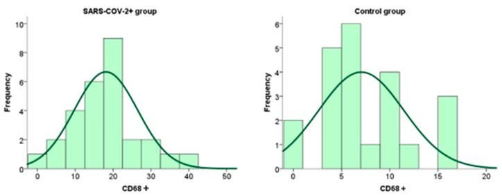 https://cdn.ncbi.nlm.nih.gov/pmc/blobs/43c2/12347127/6bb9dd7a054e/ijms-26-07659-g007.jpg