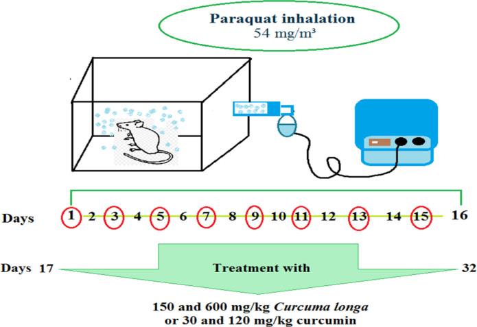 https://cdn.ncbi.nlm.nih.gov/pmc/blobs/43c3/9121257/3b1b3dc06439/AJP-12-414-g001.jpg