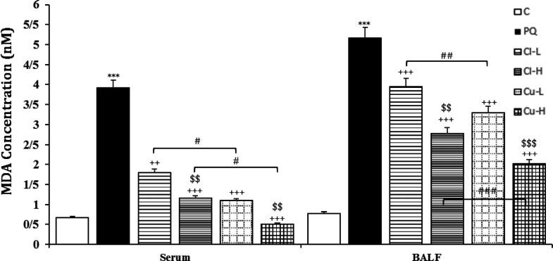 https://cdn.ncbi.nlm.nih.gov/pmc/blobs/43c3/9121257/8cb18ce14806/AJP-12-414-g006.jpg
