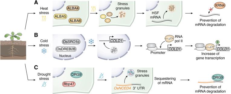https://cdn.ncbi.nlm.nih.gov/pmc/blobs/43c4/12173016/73b83426be60/gr6.jpg