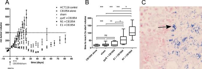 https://cdn.ncbi.nlm.nih.gov/pmc/blobs/43c5/4039107/dabede56294e/oncotarget-05-1761-g003.jpg