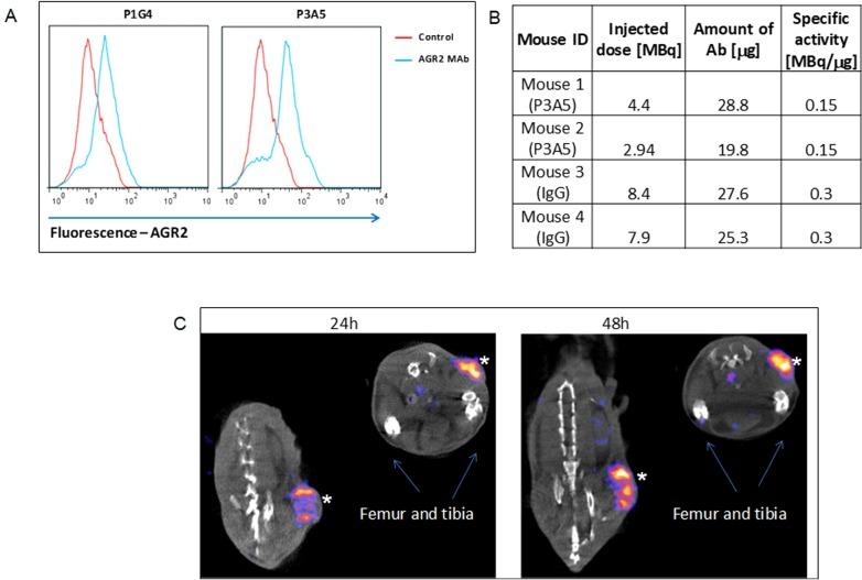 https://cdn.ncbi.nlm.nih.gov/pmc/blobs/43c6/6611513/ed666168579e/oncotarget-10-4276-g001.jpg